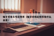 柚子币非小号比特币（柚子币和比特币有什么关系）